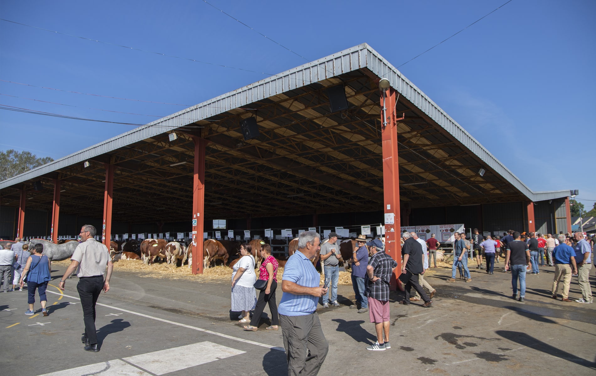 02 Le festival de la viande à Evron