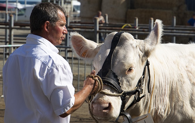 festival de la viande 02