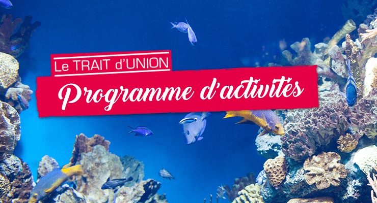 Programme Trait d'Union - Visite aquarium
