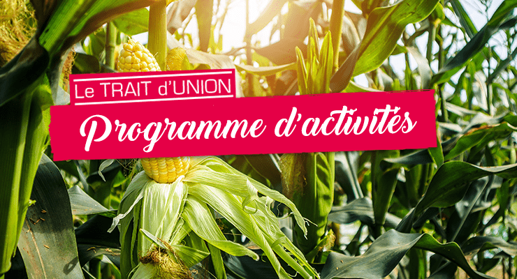 Programme TU – labyrinthe maïs