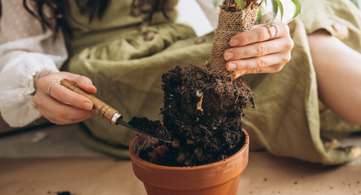 Atelier Pique et Plante