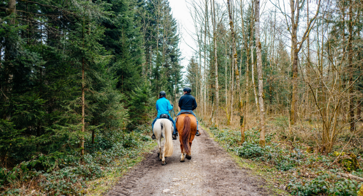 Balade à cheval au domaine des Pierres Jumelles